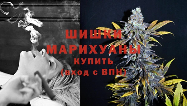 стаф Гусиноозёрск