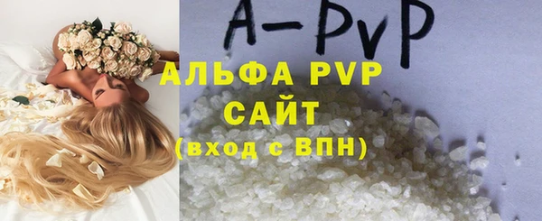стаф Гусиноозёрск