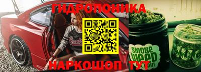 молекула духа Будённовск