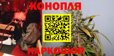 молекула духа Будённовск