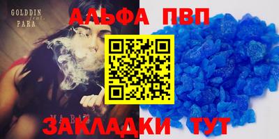 молекула духа Будённовск