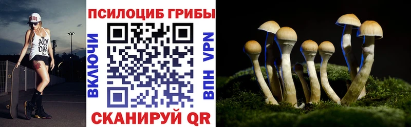 Псилоцибиновые грибы мицелий  Нижний Новгород 