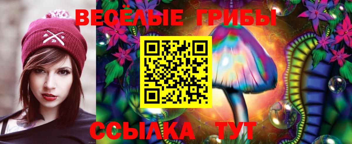 Нижний Новгород  Галлюциногенные грибы прущие грибы  Вход с VPN 