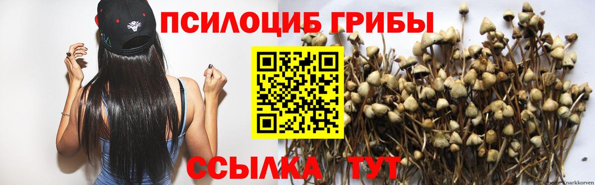 Галлюциногенные грибы Cubensis Нижний Новгород